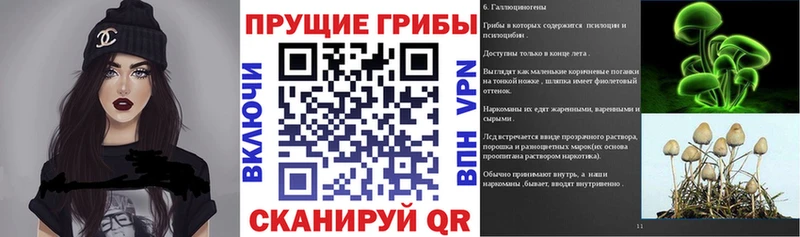 Псилоцибиновые грибы MAGIC MUSHROOMS  Купить закладки  Большой Камень 
